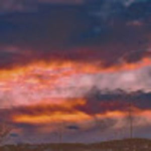 Meet your Posher, Noah